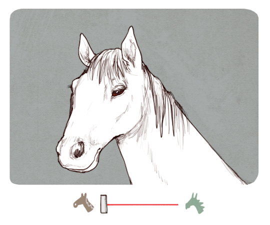 Dragon Turning Into Horse GIF