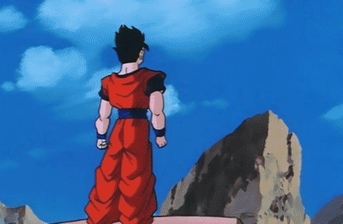 Dragonball Z Anime Series Gohan GIF