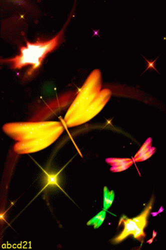 Dragonflies With ABCD21 GIF