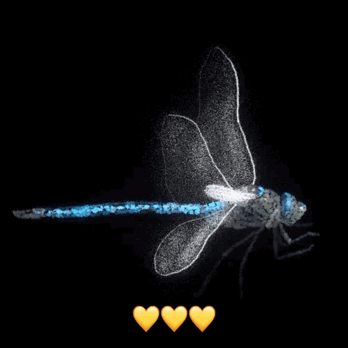 Dragonfly Surrounded By Three Hearts GIF