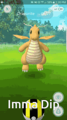 Dragonite Target Poke Ball Imma Dip GIF