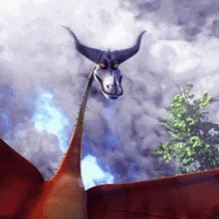 Dragons Gif GIF