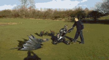 Dragons In A Golf Course GIF