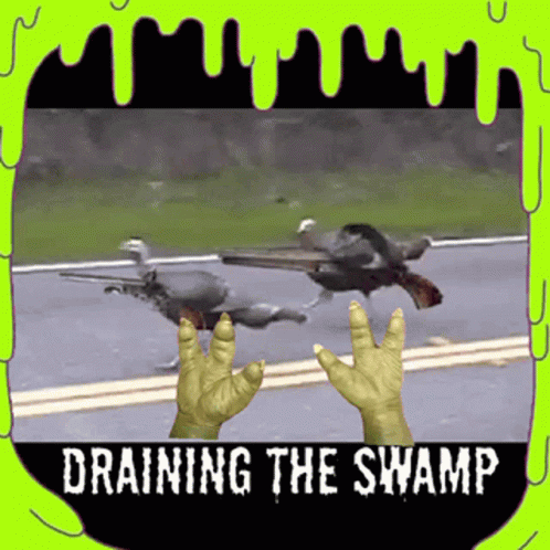 Draining The Swamp GIF