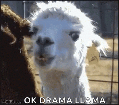Drama Queen The Dramatic Alpaca GIF