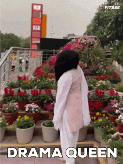 Drama Queen Flower Background GIF