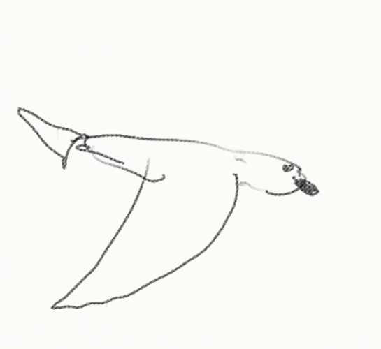 Drawing Bird Flying GIF