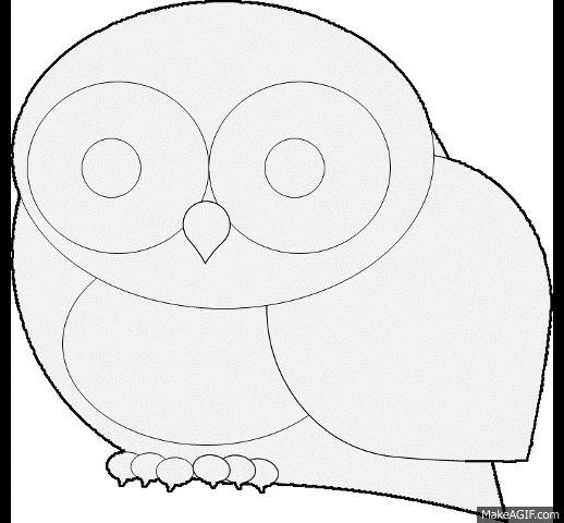 Drawing Owl Abstract Colors GIF