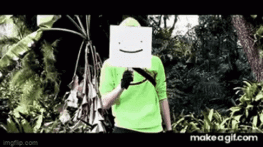 Dream Face Reveal Anime Head Meme GIF