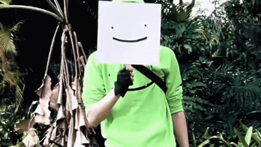 Dream Face Reveal Smiley Emoji GIF