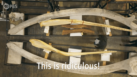 Dream Of The Ridiculous Man GIF