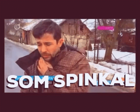 Dreamy Slovakia Anchor Reporting GIF