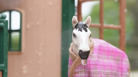 Drenched Horse In Pink Cape GIF