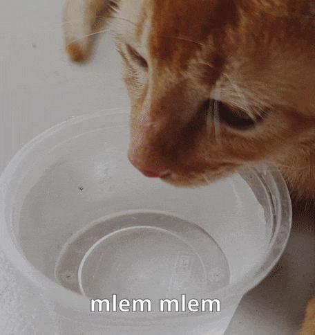 Drink Drink Water Gif GIF