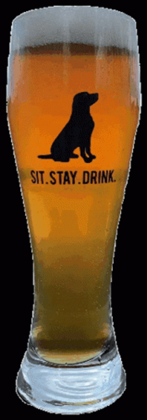 Drinking Beer GIF
