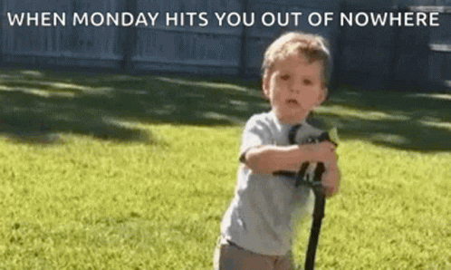 Drinking From A Fire Hose Monday Meme GIF