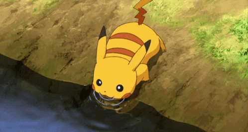 Pokemon Pikachu Drinking Water GIF