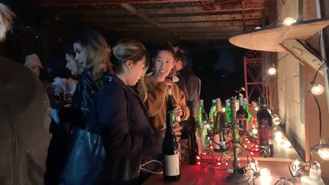 Drinking Wine Party Girls Enjoying GIF