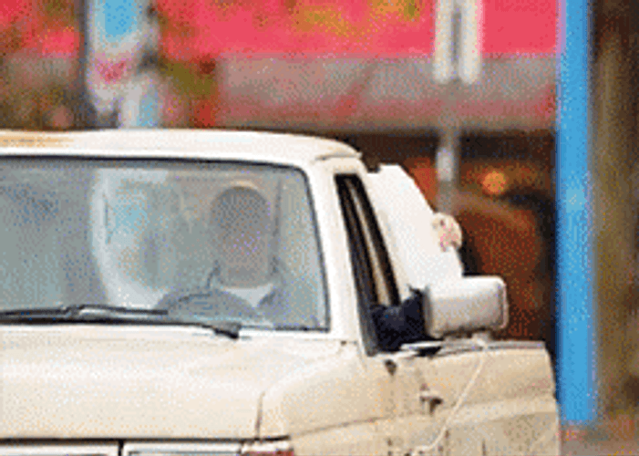 Drive By Suck It Placard GIF