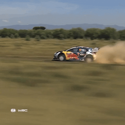 Drive Fast Race Car In Field GIF