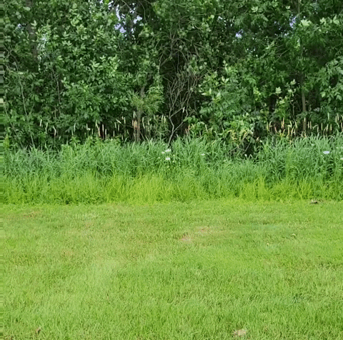 Driving Lawn Mower Ariens Chill Work GIF