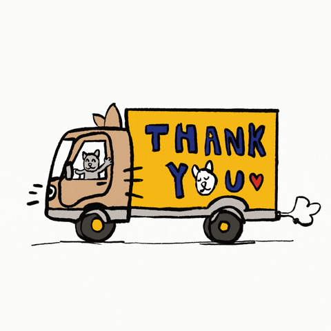 Driving Moving Cat GIF