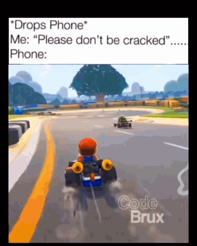 Drops Phone Please Don't Be Cracked