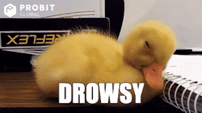 Drowsy Little Cute Duck GIF