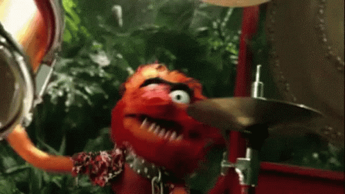 Drumming Muppets Animal GIF