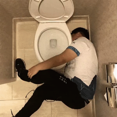 Drunk Guy In Toilet GIF