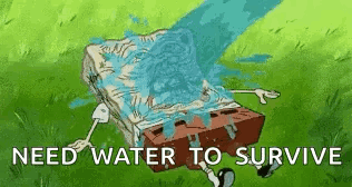 Dry Spongebob Need Water To Survive GIF