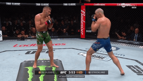 Du Plessis Vs Strickland Boxing Match GIF