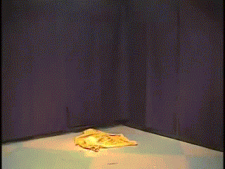 Dual Lightsaber Star Wars Kid GIF