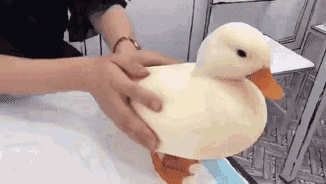 Duck Being Pet On A Vet GIF