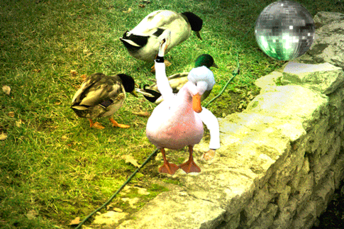 Duck Dance On The Spotlight GIF