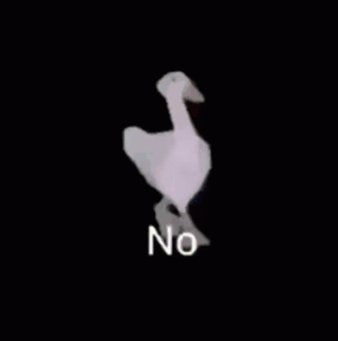 Duck Dance To Say No GIF