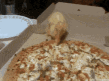 Duck Eating Pizza GIF