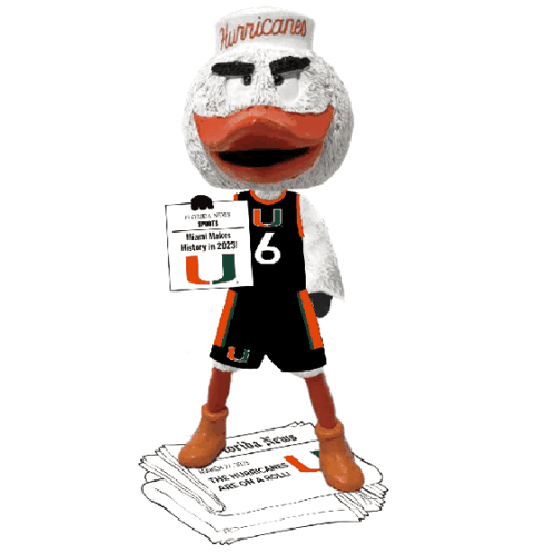 Duck Figurine With Hurricanes Hat