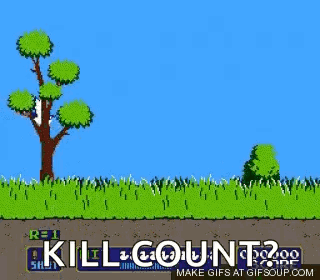Duck Flying in Video Game