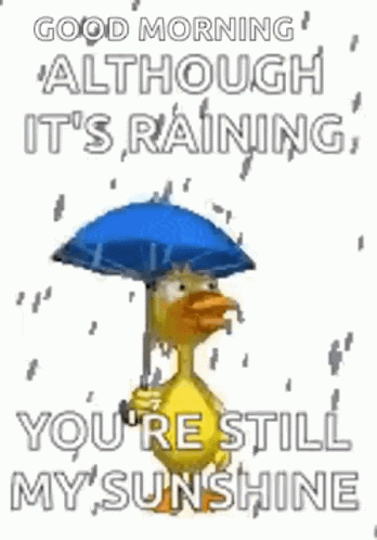Duck Happy Rainy Wednesday GIF