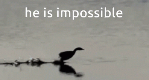 Duck He Is Impossible GIF