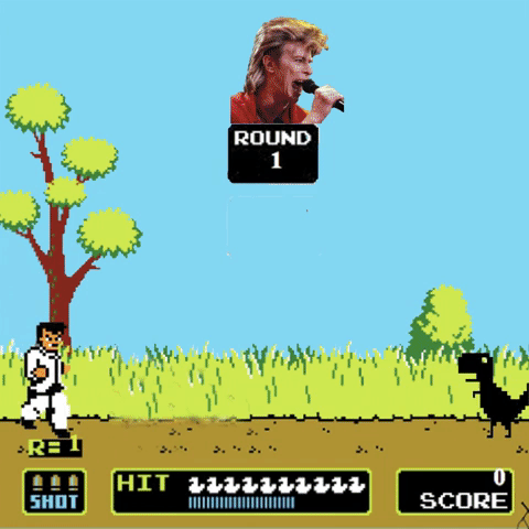 Duck Hunt Fighting Scene Meme GIF