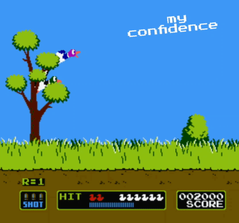 Duck Hunt Video Game My Confidence