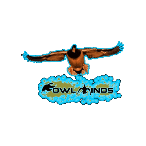 Duck Hunting Fowl Winds Logo GIF