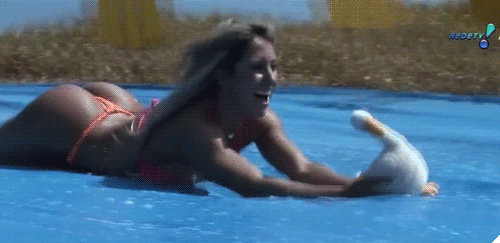 Duck Hunting Woman In Bathing Suit GIF