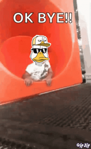 Duck in Sunglasses and Hat on Slide Saying Ok Bye