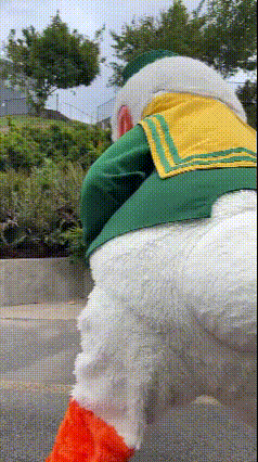 Duck Mascot in Green and Yellow Sailor Costume