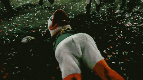 Duck Mascot Laying on Ground With Confetti