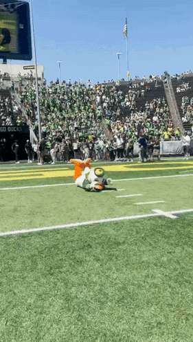 Duck Mascot Lying On Football Field GIF