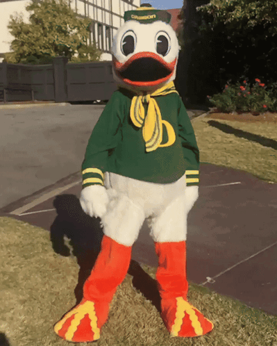 Duck Mascot Wearing Green And Yellow GIF
